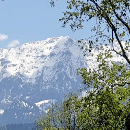Panoramahaus Hopfner Naehe Zugspitze Und Eibsee Garmisch-Partenkirchen Luaran gambar